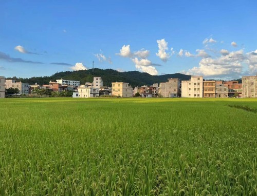 DO独家：斯彭斯在遭德拉普肘击后下巴骨折，下场将被迫带面罩出场