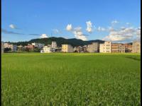 DO独家：斯彭斯在遭德拉普肘击后下巴骨折，下场将被迫带面罩出场